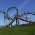 Tiger & Turtle - Magic Mountain