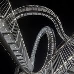 Tiger & Turtle – Magic Mountain