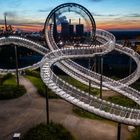 Tiger & Turtle  Magic Mountain