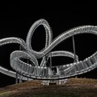 Tiger & Turtle / Magic Mountain