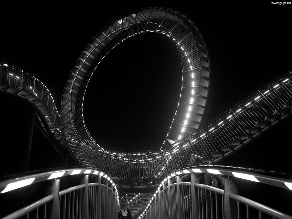 Tiger & Turtle - Magic-Mountain - III