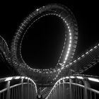 Tiger & Turtle - Magic-Mountain - III