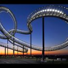 Tiger & Turtle (Magic Mountain) IV