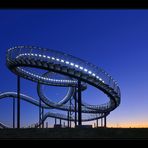 Tiger & Turtle (Magic Mountain) V