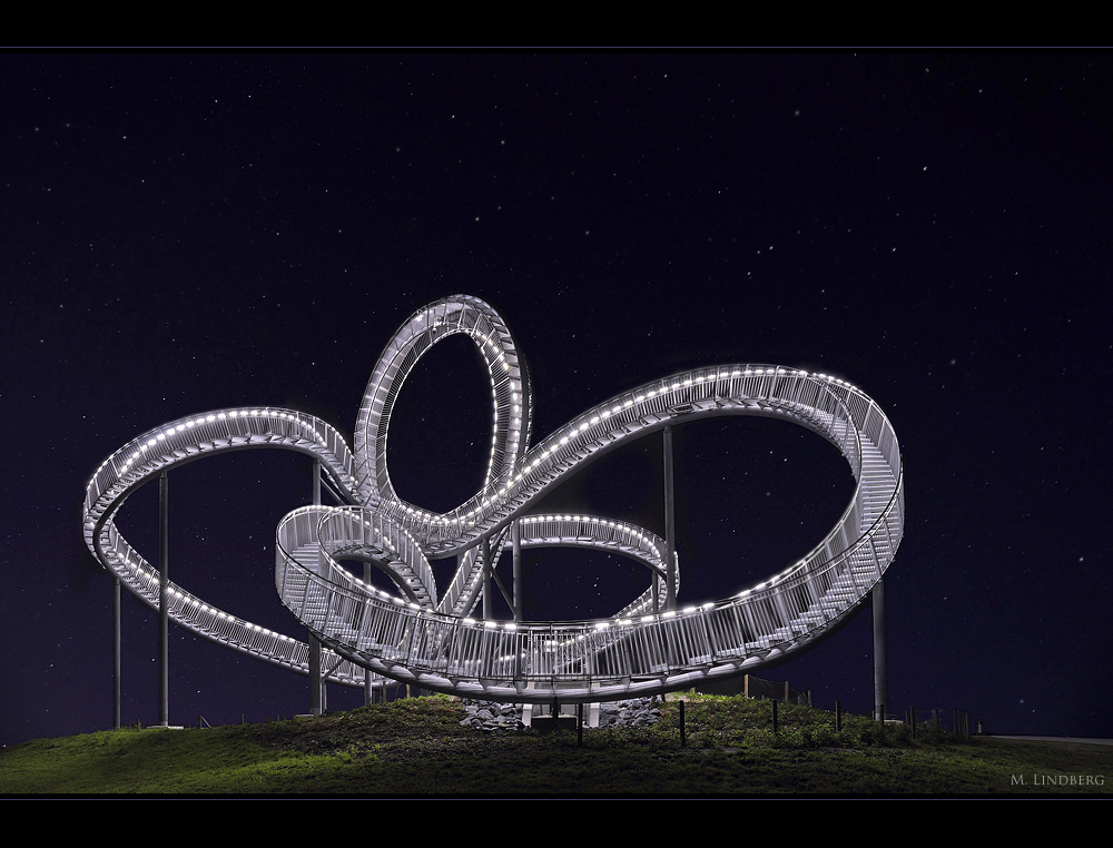 Tiger & Turtle (Magic Mountain) VI