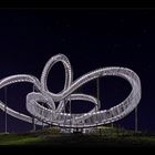 Tiger & Turtle (Magic Mountain) VI