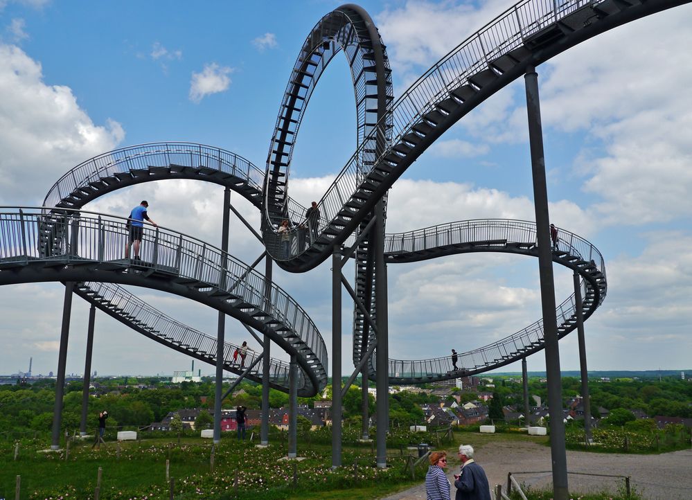 Tiger & Turtle - Magic Mounten