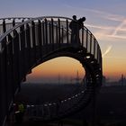 Tiger & Turtle mal anders (1)