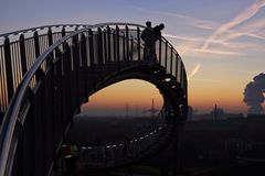 Tiger & Turtle mal anders (1)