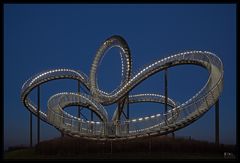 Tiger & Turtle mal ohne Menschen