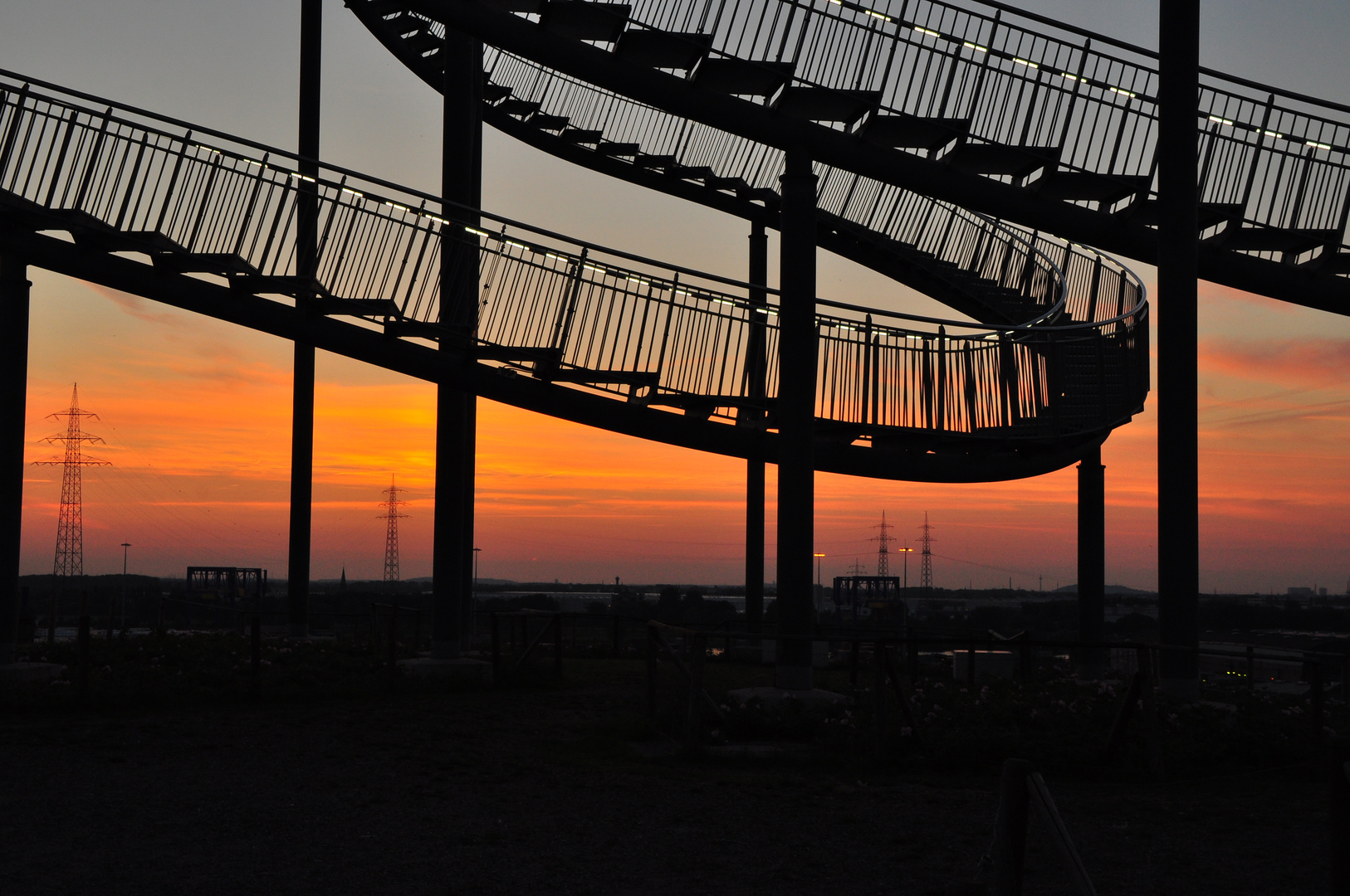 Tiger & Turtle meets the sunset