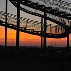 Tiger & Turtle meets the sunset