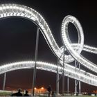 Tiger & Turtle Panorama