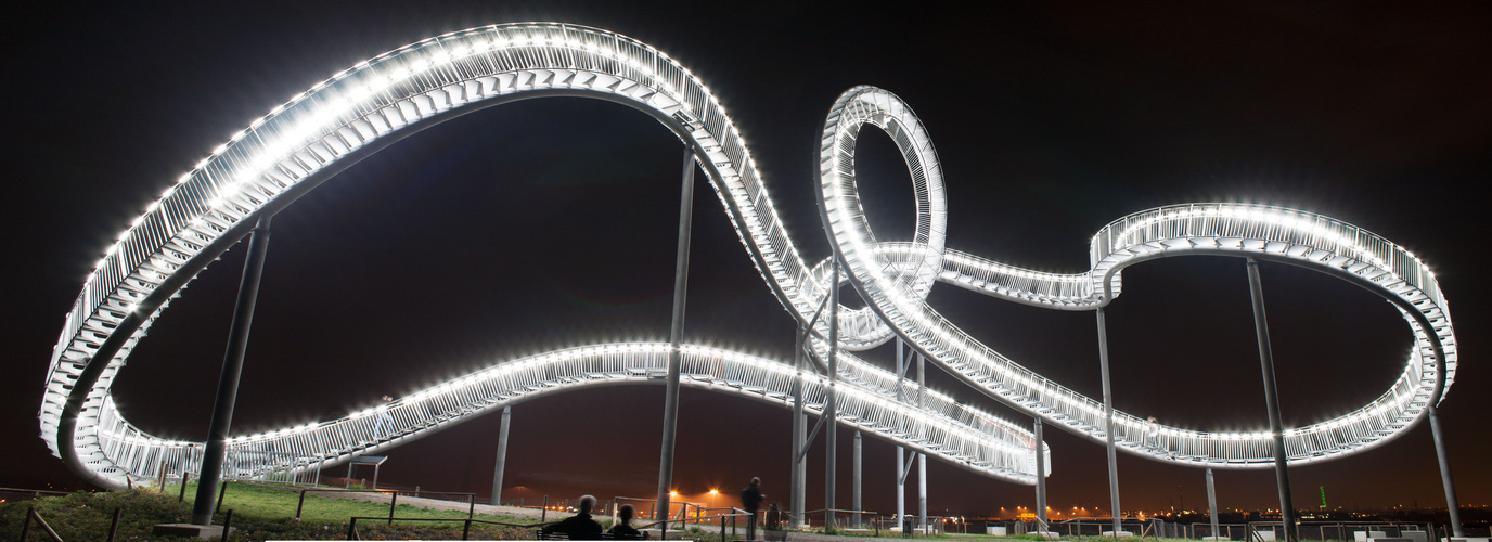 Tiger & Turtle Panorama