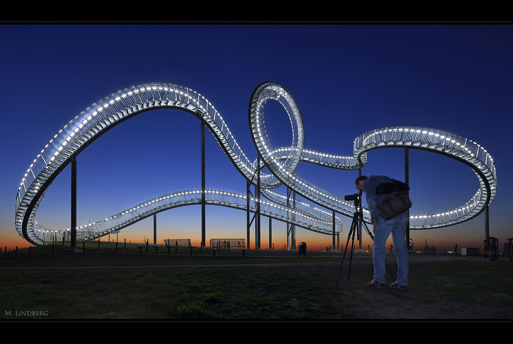 Tiger, Turtle & Pit