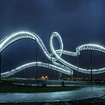 Tiger & Turtle ...... & Rain