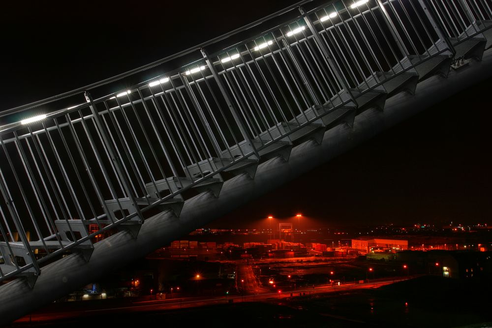 Tiger & Turtle & Rot