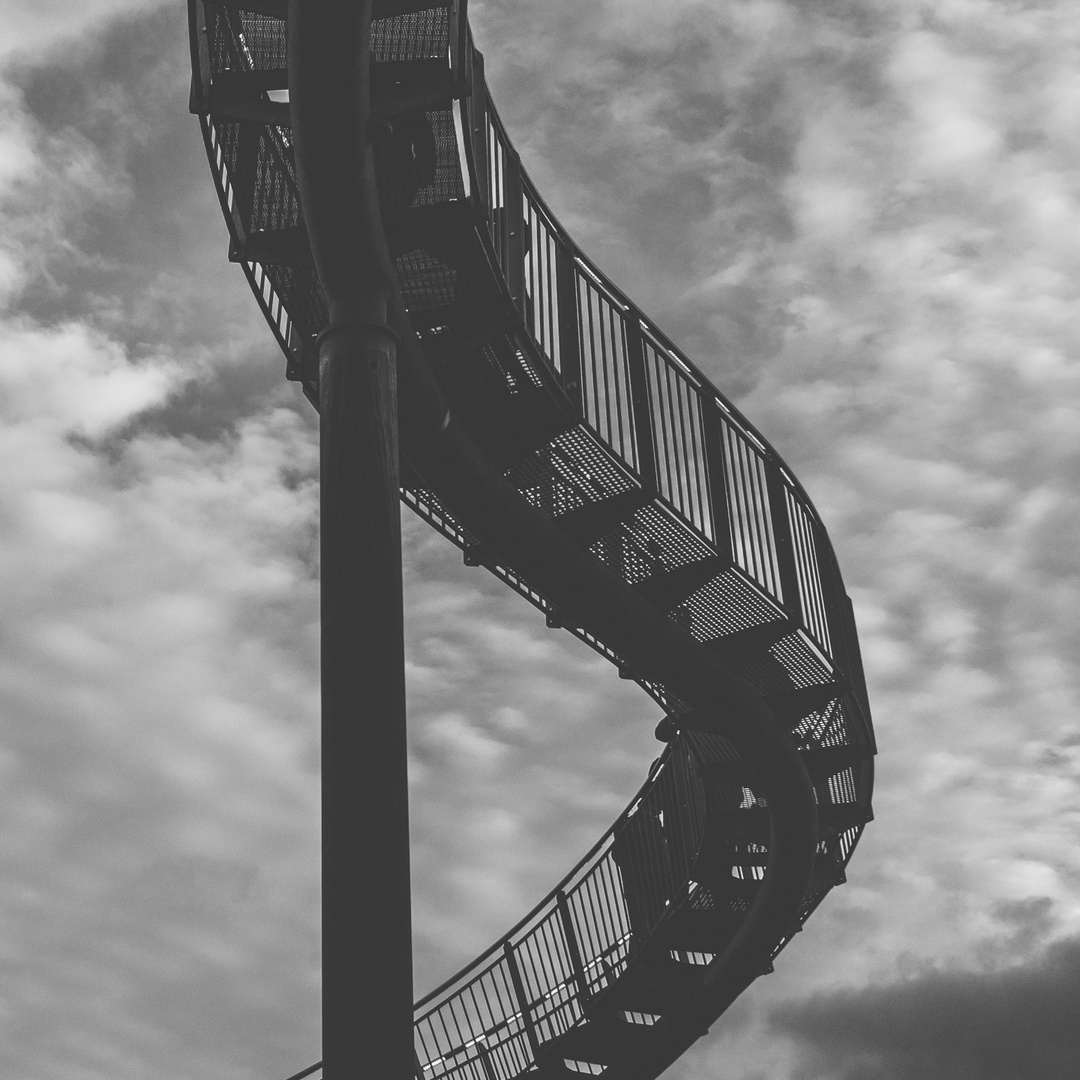 Tiger & Turtle S