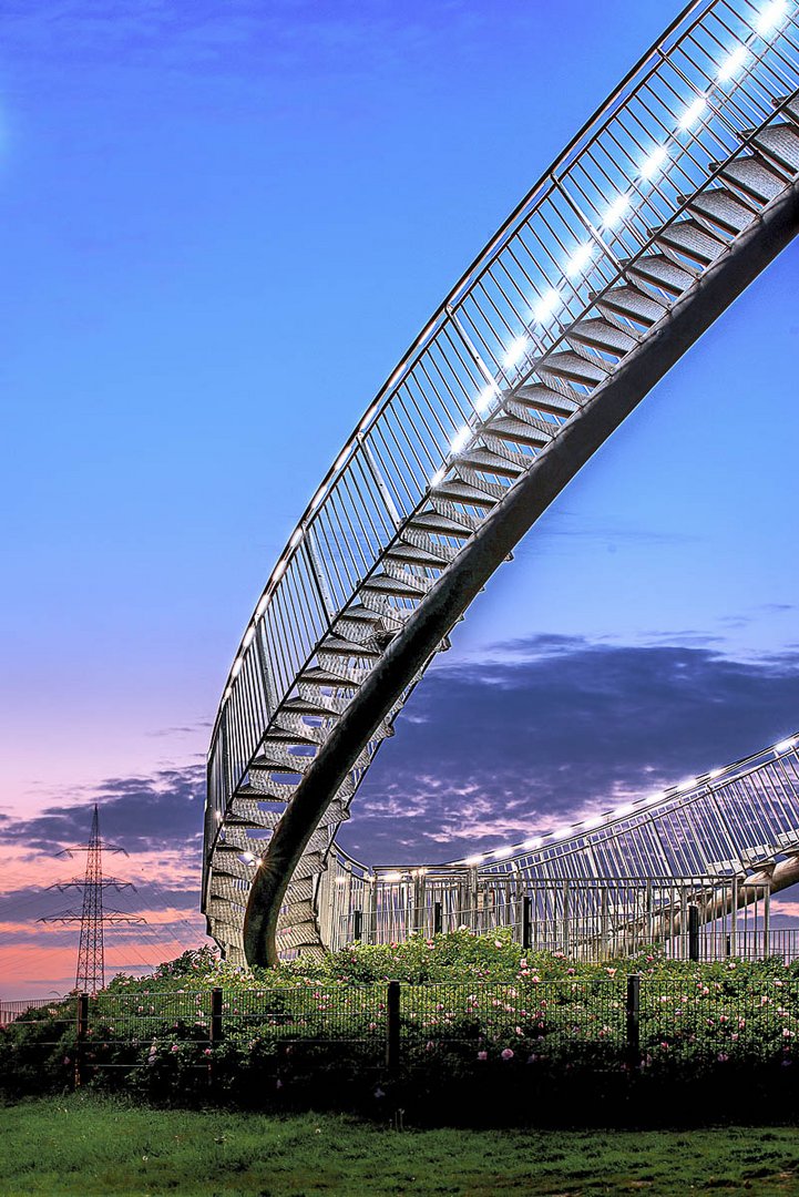 Tiger & Turtle - Upstairs