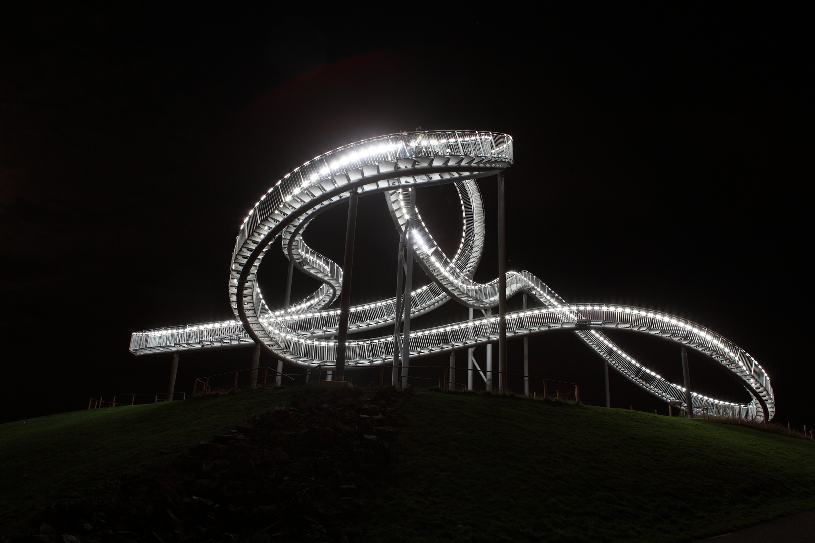 Tiger & Turtle (V)