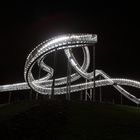 Tiger & Turtle (V)