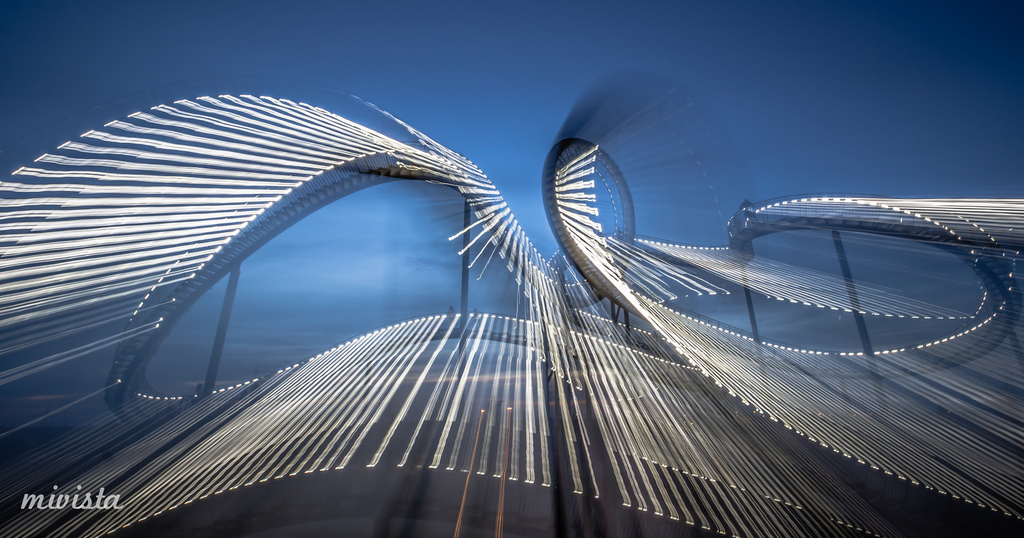 Tiger & Turtle verrückt