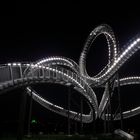 Tiger und Turtle