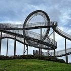  Tiger und Turtle