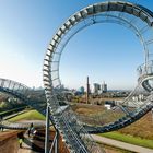 Tiger und Turtle