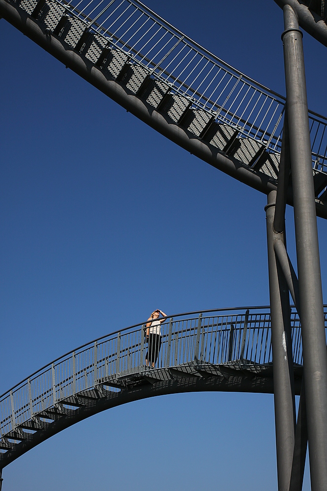 Tiger und Turtle