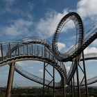 Tiger und Turtle