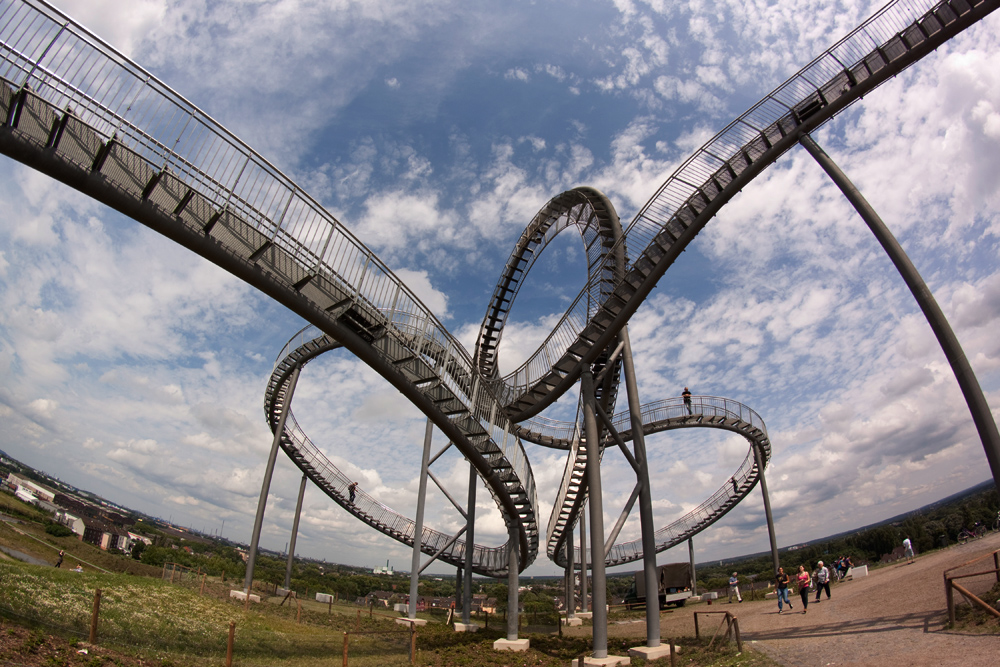 tiger und turtle #3