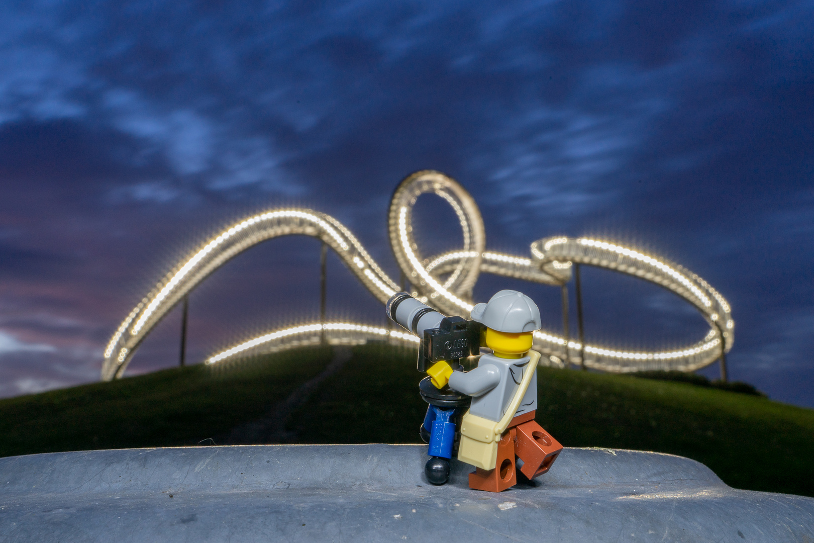 Tiger und Turtle