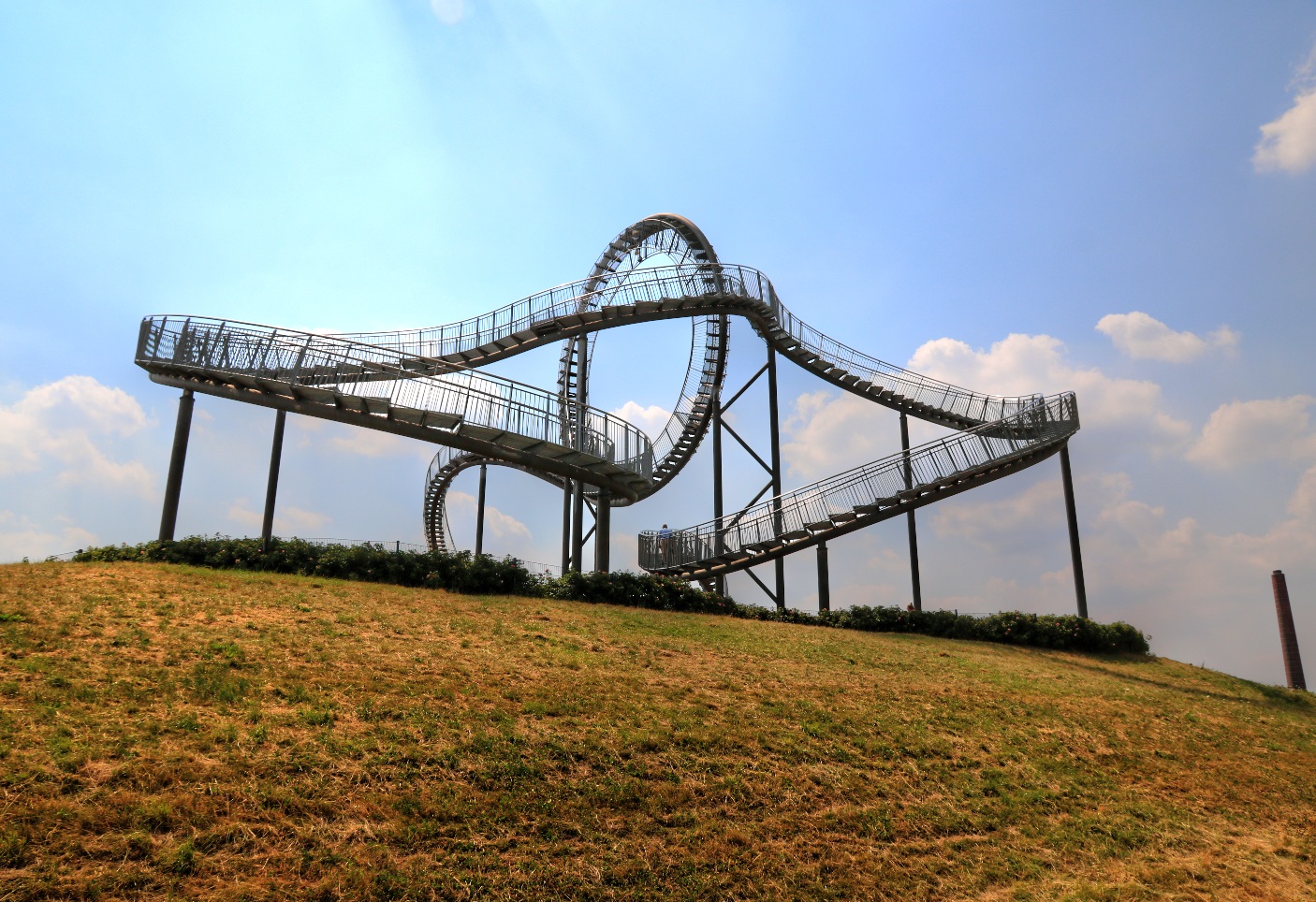 Tiger und Turtle