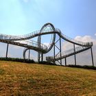 Tiger und Turtle