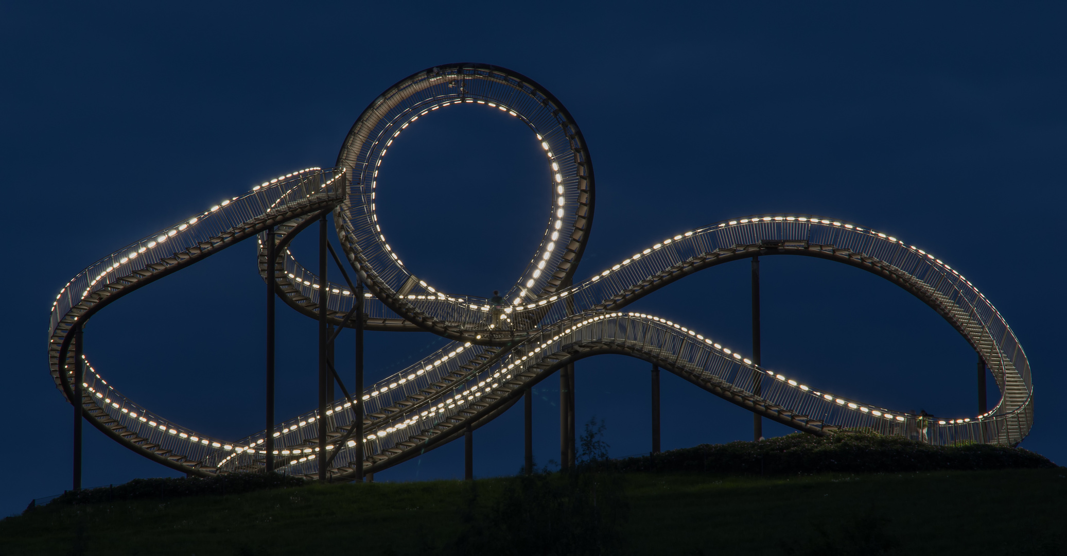 Tiger und Turtle