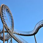 Tiger und Turtle (9)