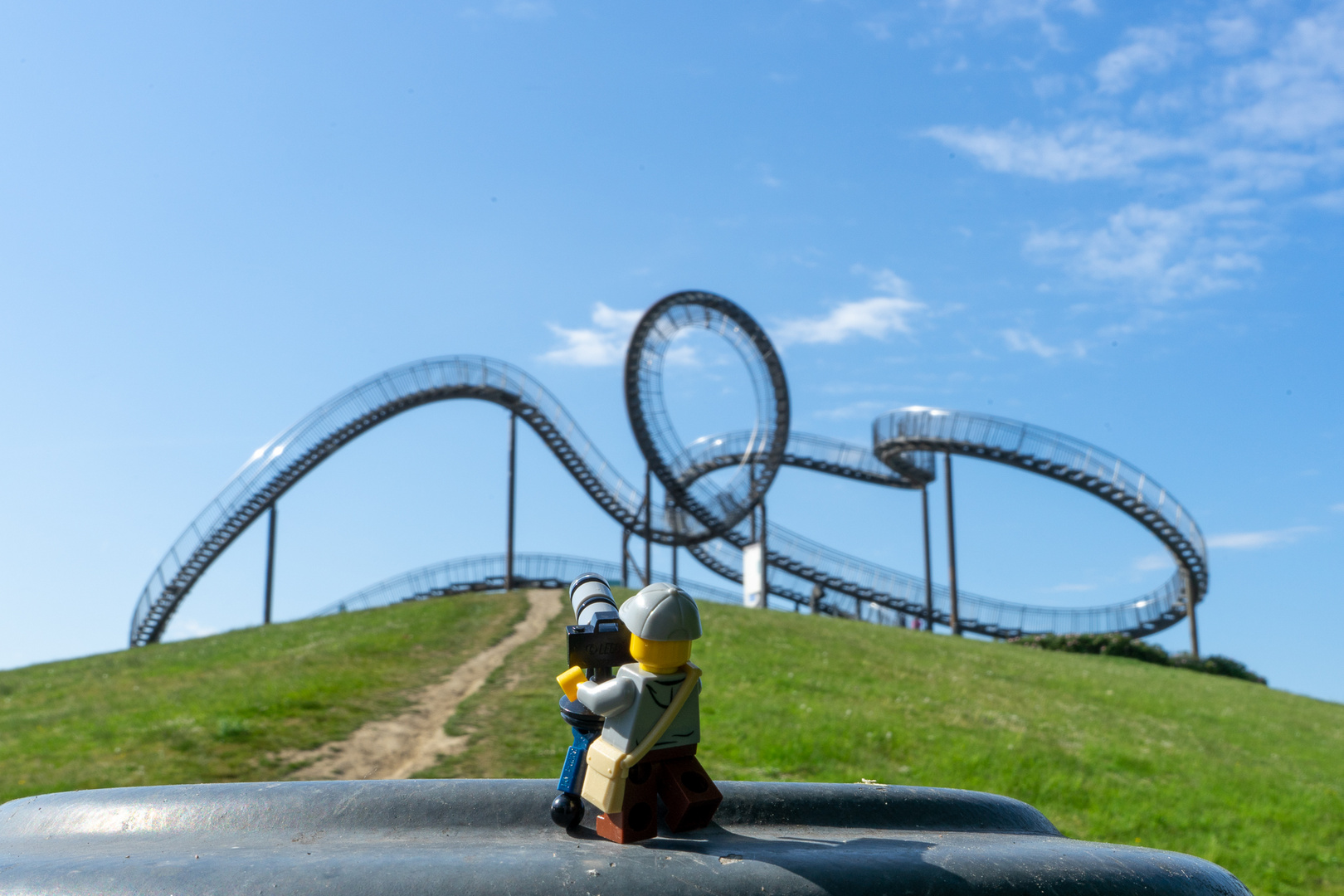 Tiger und Turtle