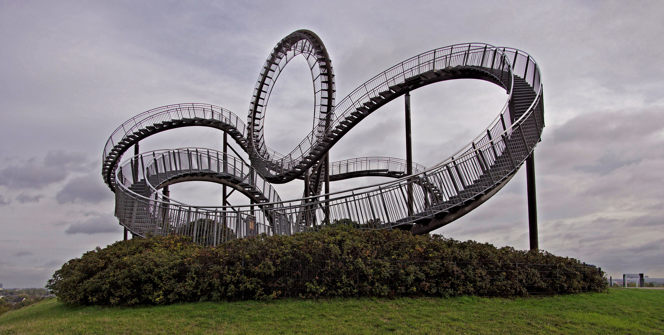 Tiger und Turtle