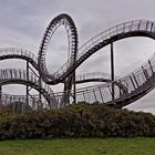 Tiger und Turtle