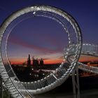 Tiger und Turtle