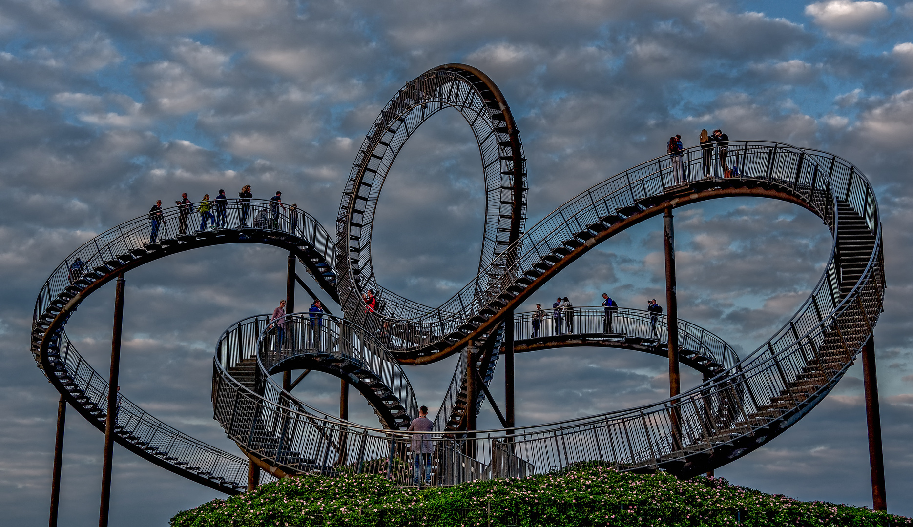 Tiger und Turtle