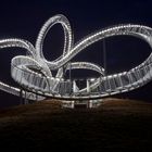 Tiger und Turtle