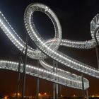 Tiger und Turtle