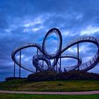 Tiger und Turtle