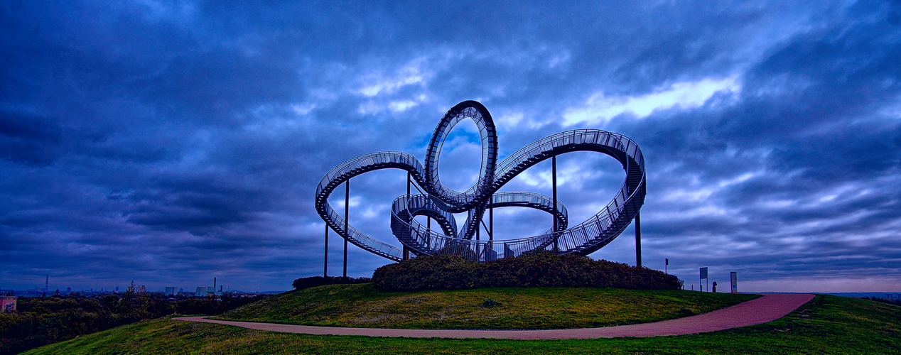 Tiger und Turtle