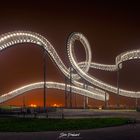 Tiger und Turtle