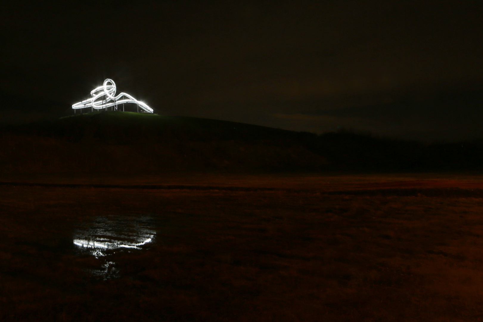 Tiger und Turtle III