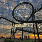 Tiger und Turtle im Sonnenuntergang