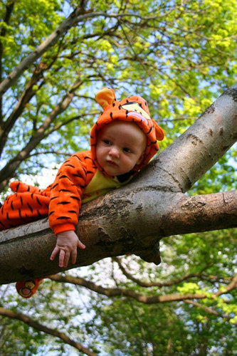 Tigerbaby